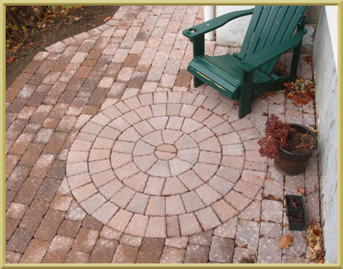 Landscaping plant choices