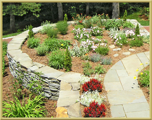 Landscaping plant choices
