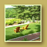 Adirondack chairs invite reflection