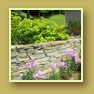 Phlox, daylilies and evergreen shrubs beside a stone wall