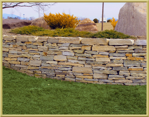 Landscaping for Richmond Home.