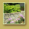 Phlox, daylilies and evergreen shrubs beside a stone wall
